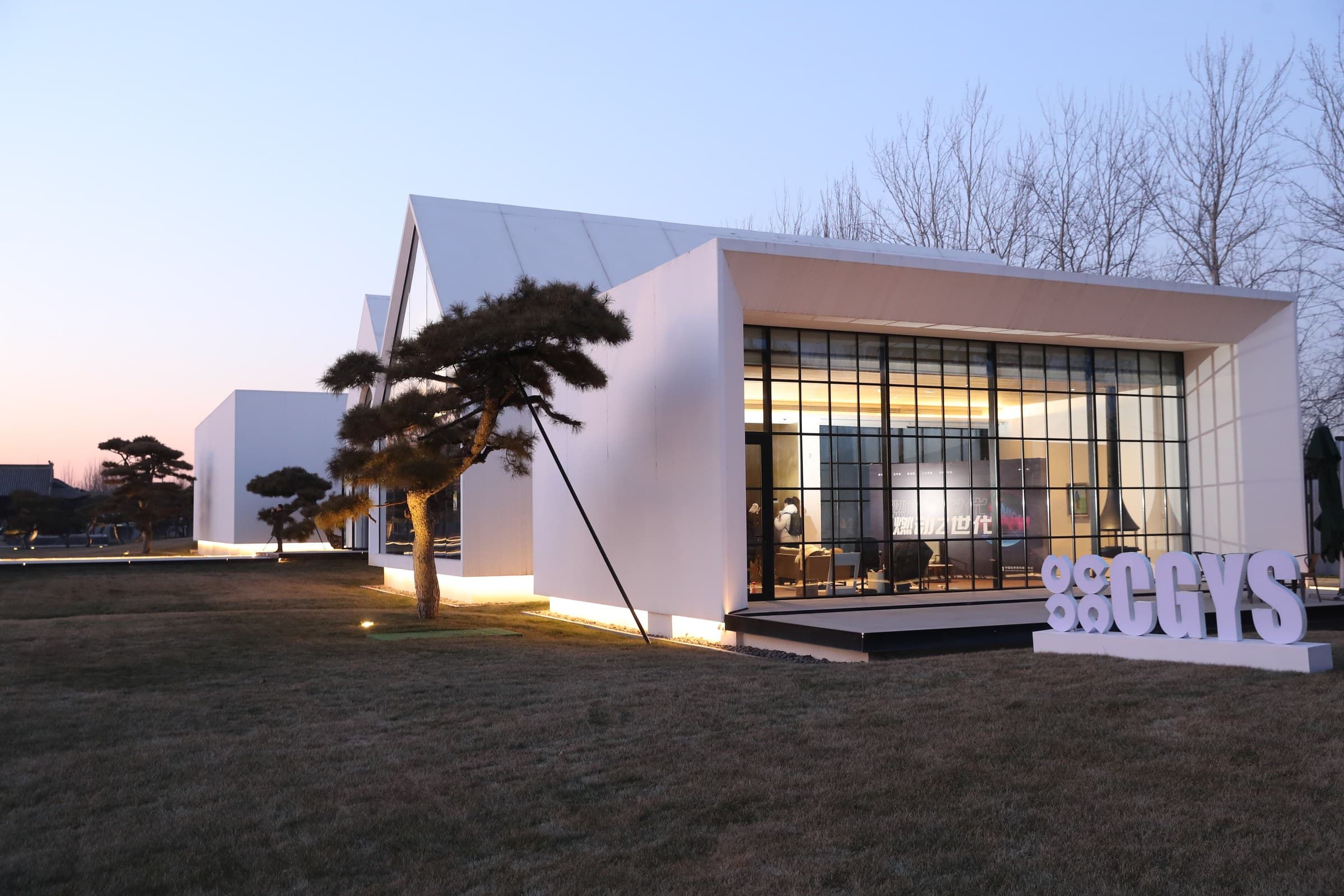 CGYS venue architecture for global youth cooperation programs